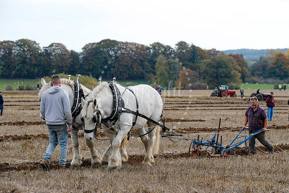Ploughing match, nr Hungerford, Berksire UK